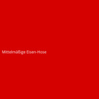 Mittelmäßige Eisen-Hose