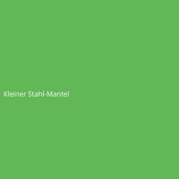 Kleiner Stahl-Mantel
